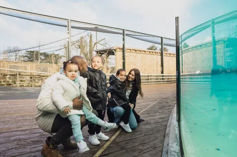 Sixteen Day Trips from Liverpool, All by Train